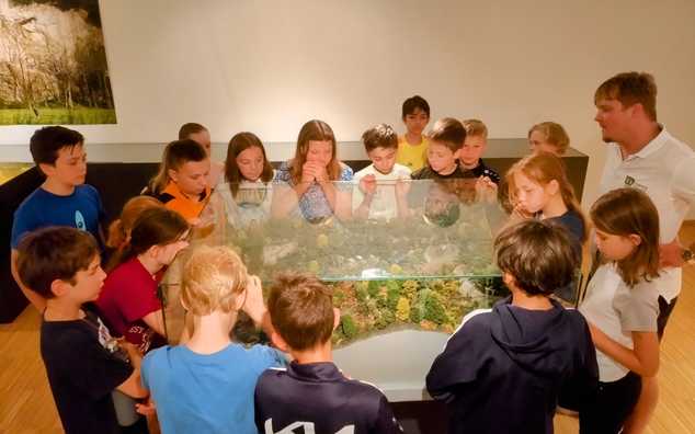 Museum für Urgeschichte